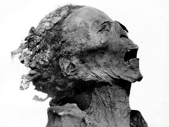 Paraoh cổ đại có thể bị sát hại bởi chính con trai ảnh 1