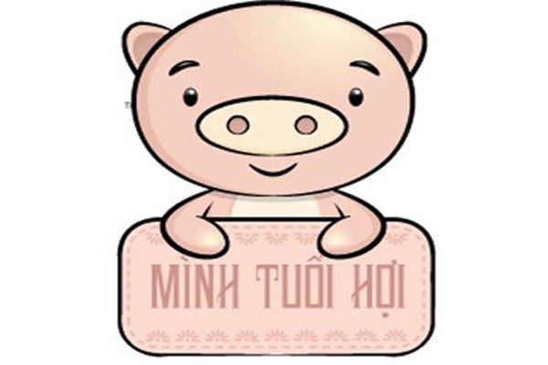 Tử vi vận hạn, tài lộc Bính Thân 2016 người tuổi Hợi ảnh 1