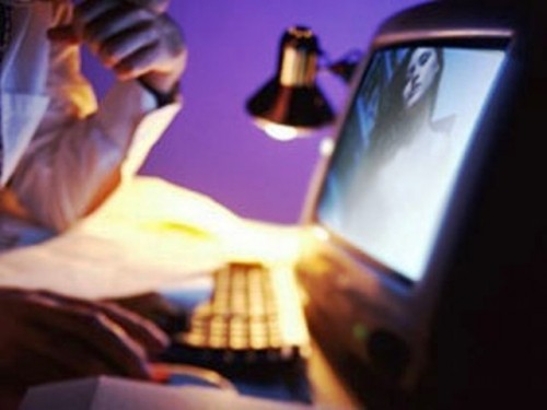 Cái kết đắng của gã trai 'lõi đời' 2 năm chăn 100 'rau sạch' ảnh 1