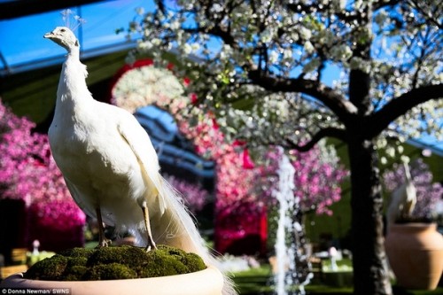 Tiệc sinh nhật xa hoa hơn 130 tỷ của ái nữ hãng luật danh tiếng ảnh 9