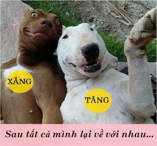 Ảnh chế xăng tăng giá 670 đồng ảnh 3