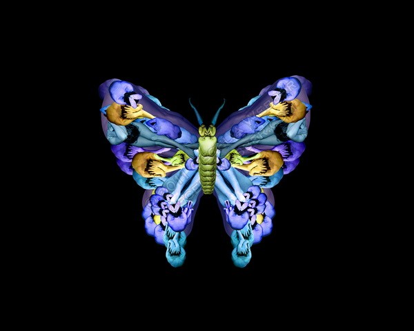 Ngỡ ngàng với kiệt tác nghệ thuật từ 'người mẫu nude' ảnh 3