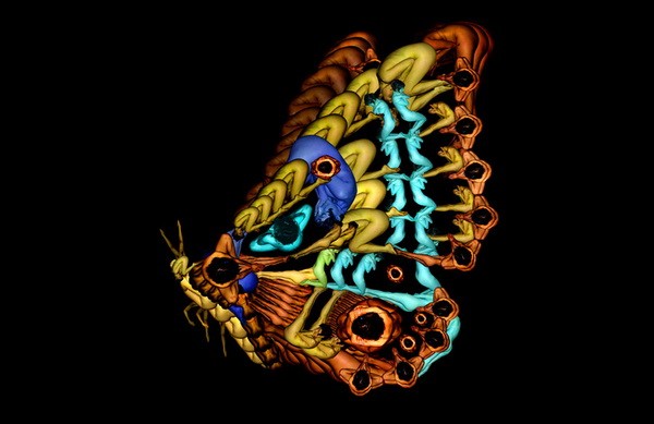 Ngỡ ngàng với kiệt tác nghệ thuật từ 'người mẫu nude' ảnh 4