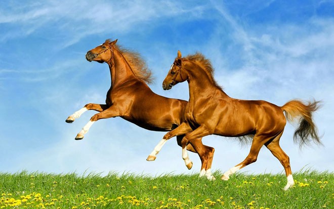 Cặp đôi này kết hợp với nhau thì chuẩn bị mua máy đếm tiền là vừa ảnh 3