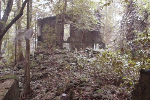 Phế tích biệt thự cũ thời Pháp ở Vườn Quốc gia Ba Vì ảnh 3