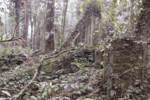 Phế tích biệt thự cũ thời Pháp ở Vườn Quốc gia Ba Vì ảnh 8