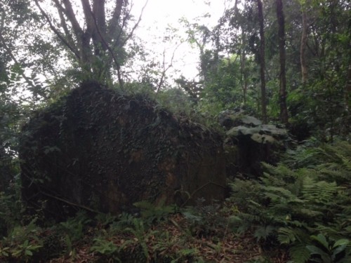 Phế tích biệt thự cũ thời Pháp ở Vườn Quốc gia Ba Vì ảnh 4