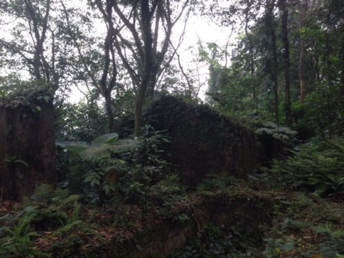 Phế tích biệt thự cũ thời Pháp ở Vườn Quốc gia Ba Vì ảnh 2