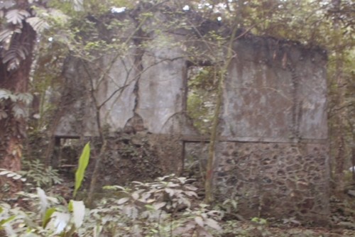 Phế tích biệt thự cũ thời Pháp ở Vườn Quốc gia Ba Vì ảnh 7