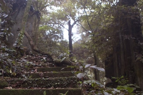 Phế tích biệt thự cũ thời Pháp ở Vườn Quốc gia Ba Vì ảnh 9