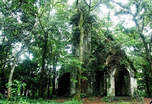 Khám phá những căn biệt thự cổ trong vườn quốc gia Ba Vì ảnh 3