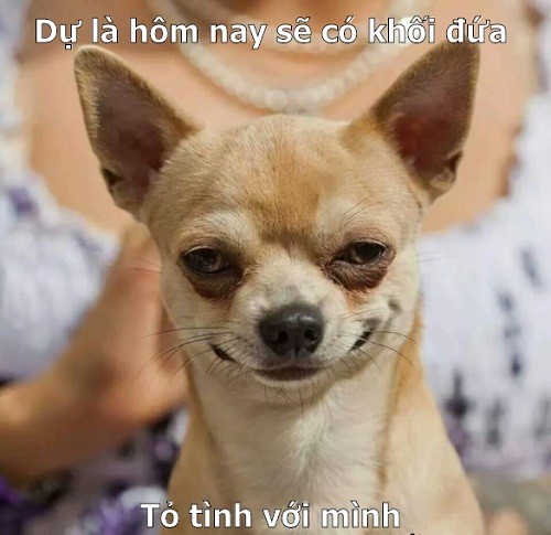 'Cười bể bụng' với loạt ảnh chế ngày Cá tháng Tư ảnh 5