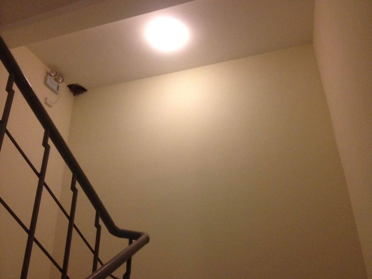 Chung cư Hồ Gươm Plaza: Sai phạm khủng, bất chấp pháp luật ảnh 6