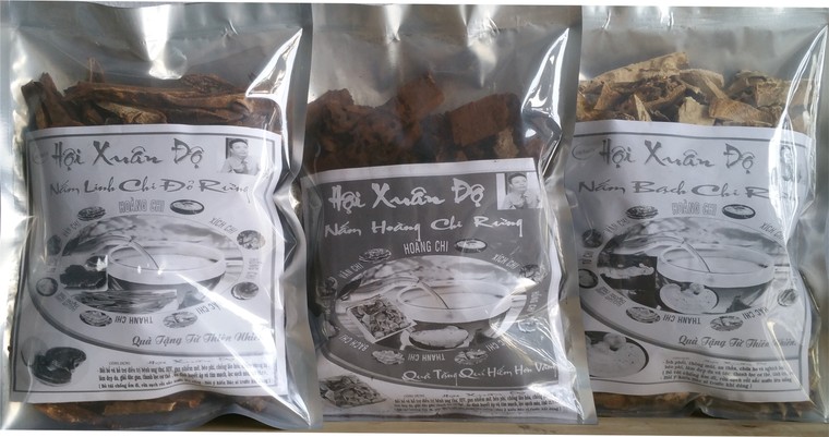 Ông vua đông trùng hạ thảo và nấm linh chi rừng quý hiếm Xuân Độ ảnh 1