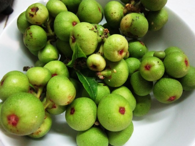 Bài thuốc bằng 3 loại thảo dược giúp bạn tự chữa khỏi bệnh trĩ ảnh 1