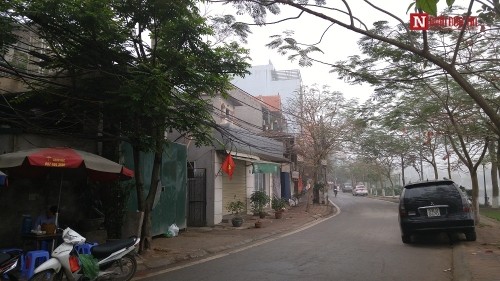 Con đường mang tên Trịnh Công Sơn giữa lòng Hà Nội ảnh 2