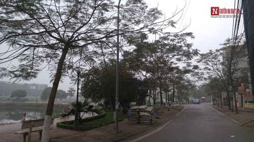 Con đường mang tên Trịnh Công Sơn giữa lòng Hà Nội ảnh 4