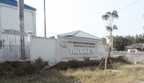 Đi tìm lời giải 'ngã ngựa' của Tòng Thiên Mã - đại gia đất Tây Đô ảnh 2