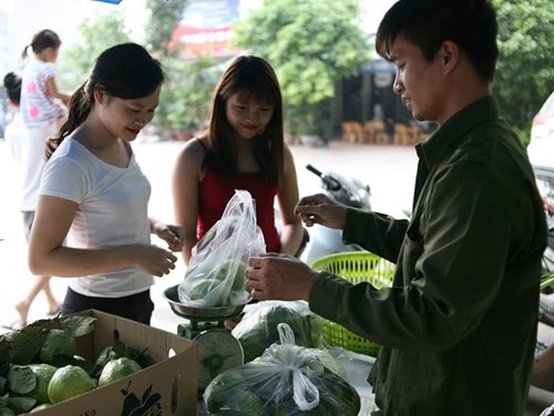 Nợ nần chồng chất, Lệ Rơi rao bán cặp loa hát rong giá 800 ngàn ảnh 4