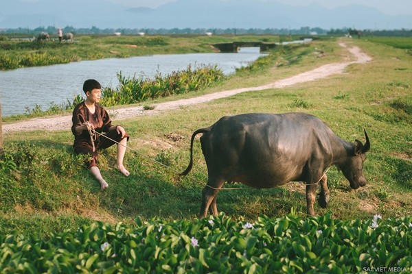 Thích thú với ảnh kỷ yếu ‘quay về tuổi thơ’ của học sinh Nghệ An ảnh 8