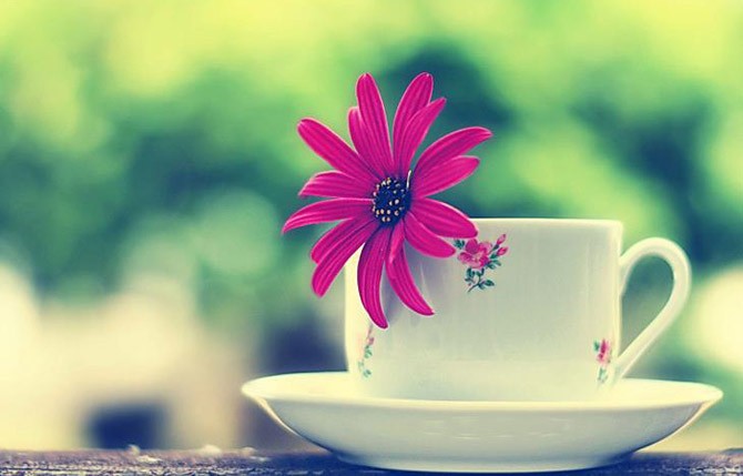 Bói vui: Xem tử vi của 12 cung hoàng đạo thứ 4 ngày 11/5/2016 ảnh 1