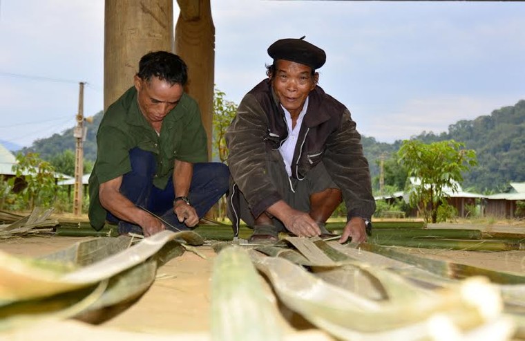 Thăm rừng di sản pơ mu ảnh 1