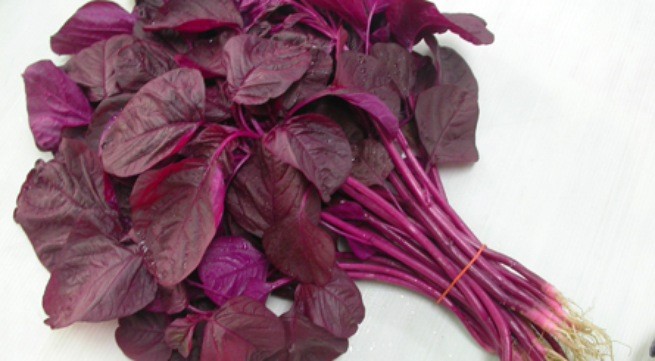 Những sai lầm khi ăn rau dền cực nguy hiểm cần phải bỏ ngay! ảnh 1