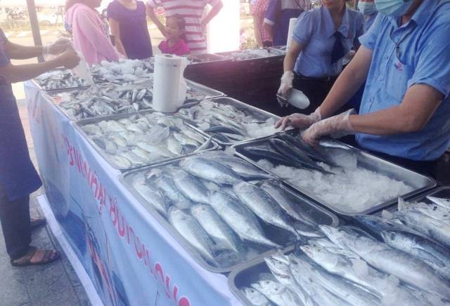Huế: Hơn 1 tấn hải sản sạch được tiêu thụ chỉ trong vài giờ ảnh 2