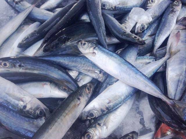 Huế: Hơn 1 tấn hải sản sạch được tiêu thụ chỉ trong vài giờ ảnh 3