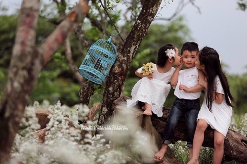 Quan điểm gây sốc: 'Gia đình phải cực giàu có mới hạnh phúc' ảnh 4