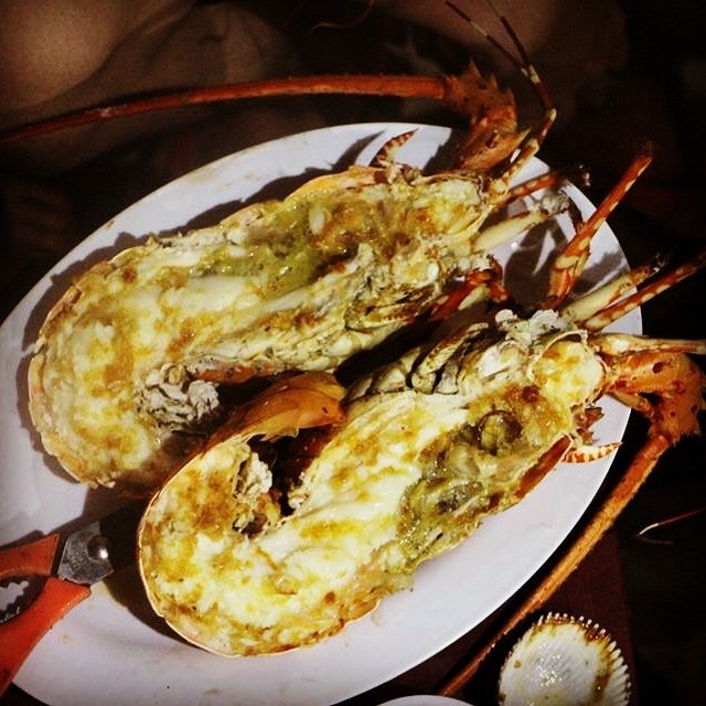 Ghé thăm những hòn đảo này để thưởng thức tôm hùm 'ngon, bổ, rẻ' ảnh 2