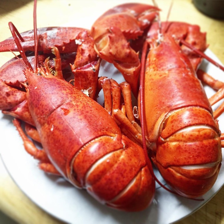 Ghé thăm những hòn đảo này để thưởng thức tôm hùm 'ngon, bổ, rẻ' ảnh 7