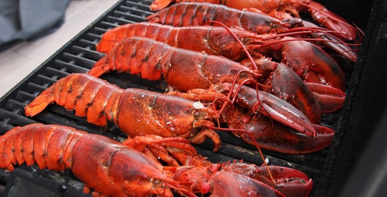 Ghé thăm những hòn đảo này để thưởng thức tôm hùm 'ngon, bổ, rẻ' ảnh 6