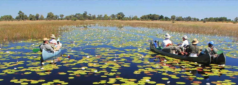 Đồng bằng Okavango - Di sản thiên nhiên thế giới tại Botswana ảnh 8
