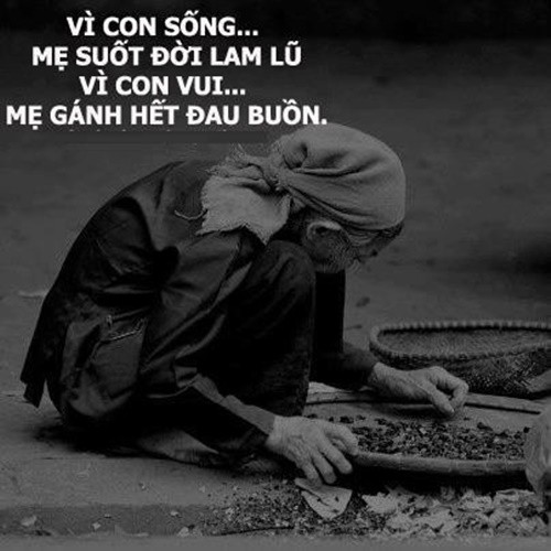 Những hình ảnh về 'tình mẫu tử' ý nghĩa nhân Ngày của Mẹ ảnh 18