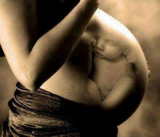 Những hình ảnh về 'tình mẫu tử' ý nghĩa nhân Ngày của Mẹ ảnh 2