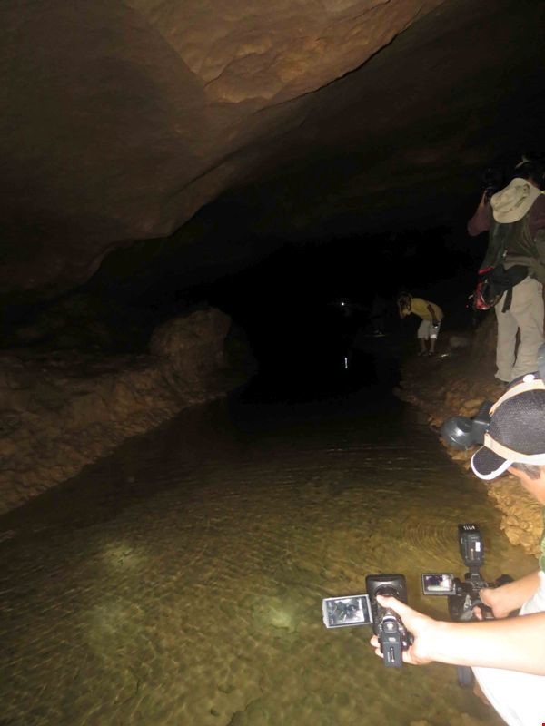 Xuyên qua đá vôi trong lòng hang Thiên Đường ảnh 9