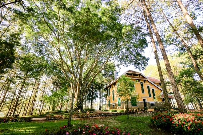Khuôn viên như vườn thượng uyển trong Dinh Bảo Đại ảnh 10