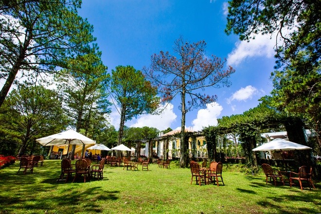 Khuôn viên như vườn thượng uyển trong Dinh Bảo Đại ảnh 4