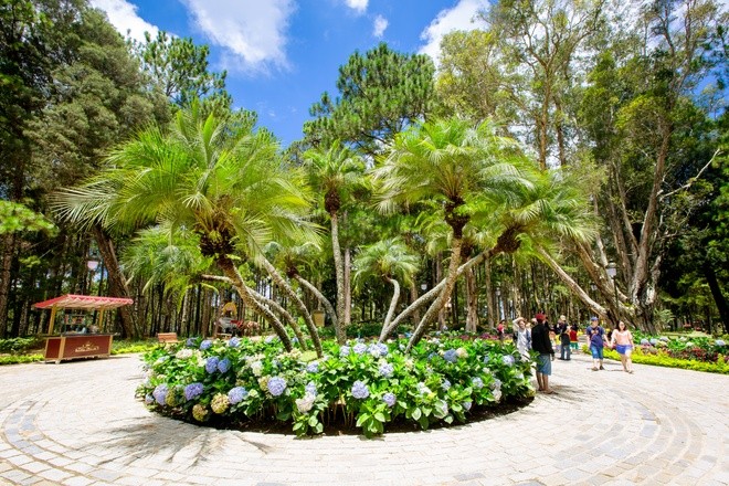 Khuôn viên như vườn thượng uyển trong Dinh Bảo Đại ảnh 6