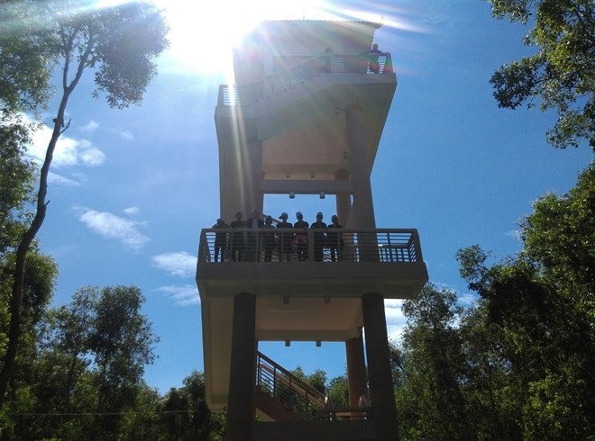 Khám phá rừng tràm bí ẩn tại làng nổi Tân Lập ảnh 12