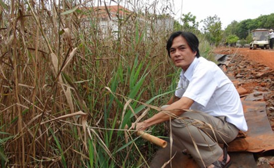 Độc đáo 'mô hình xử lý nước thải bằng cây sậy' ảnh 1