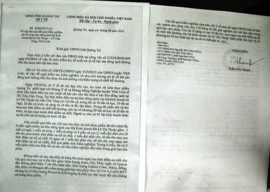 Chưa ai chết vì Phenol trừ… những người buôn cá ảnh 2