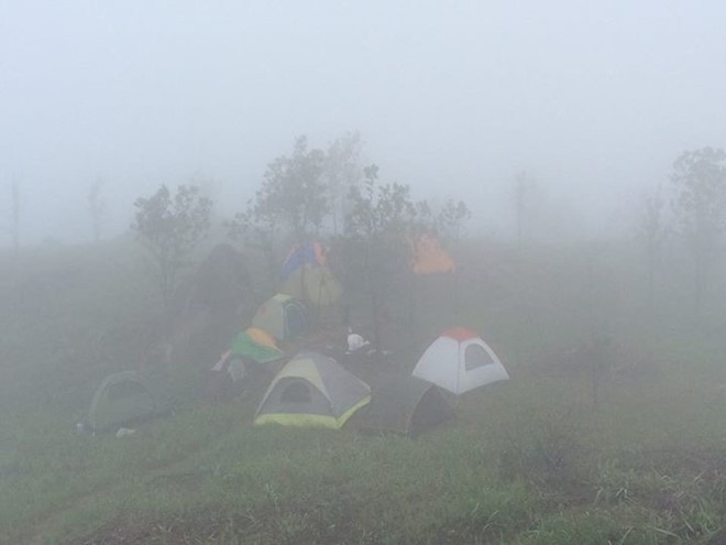 Trekking núi Chứa Chan ngày sương mù ảnh 3