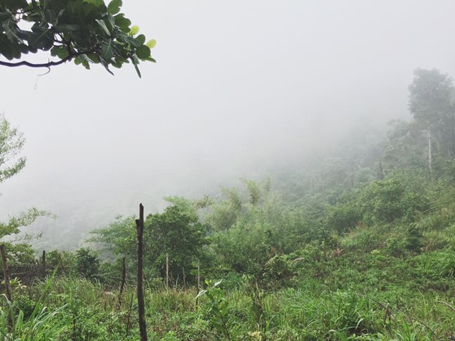Trekking núi Chứa Chan ngày sương mù ảnh 1