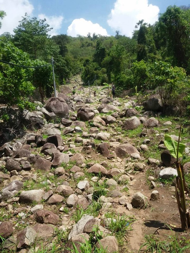 Trekking núi Chứa Chan ngày sương mù ảnh 10