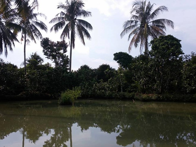 Trekking núi Chứa Chan ngày sương mù ảnh 11