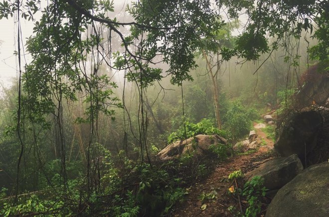 Trekking núi Chứa Chan ngày sương mù ảnh 2
