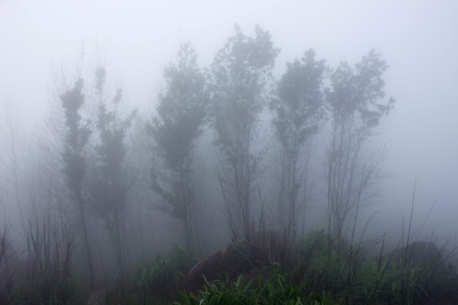 Trekking núi Chứa Chan ngày sương mù ảnh 4