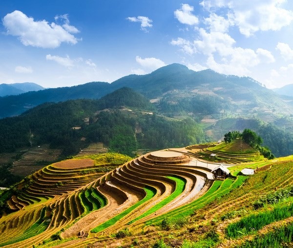 Những điểm đen ai muốn leo lên đỉnh Fansipan đều phải biết ảnh 1